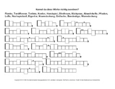 Fußballbegriffe-zuordnen 1.pdf